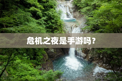 危机之夜是手游吗？