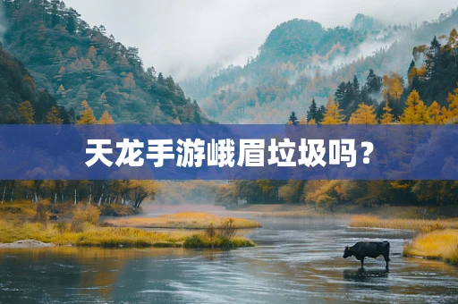 天龙手游峨眉垃圾吗？