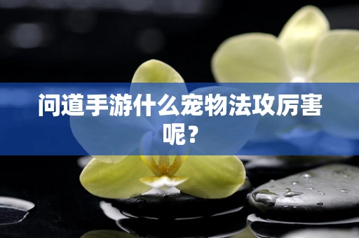 问道手游什么宠物法攻厉害呢？