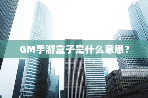 GM手游盒子是什么意思？