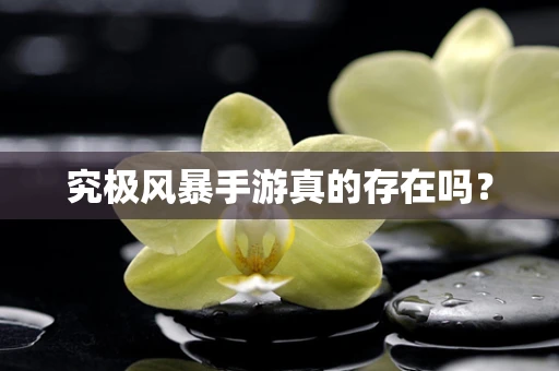究极风暴手游真的存在吗？