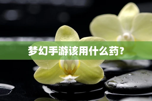 梦幻手游该用什么药？