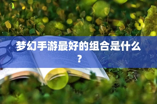 梦幻手游最好的组合是什么？