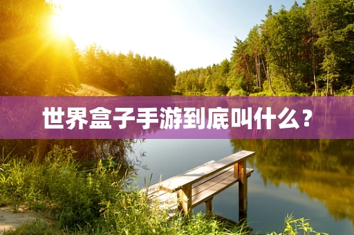 世界盒子手游到底叫什么？