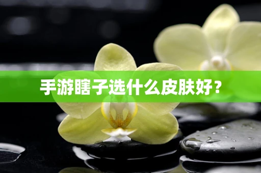 手游瞎子选什么皮肤好？