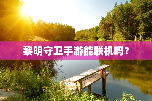 黎明守卫手游能联机吗？