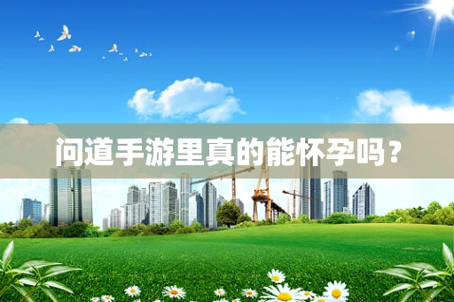 问道手游里真的能怀孕吗？