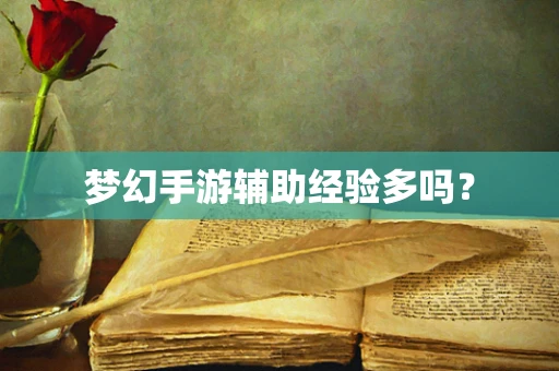 梦幻手游辅助经验多吗？