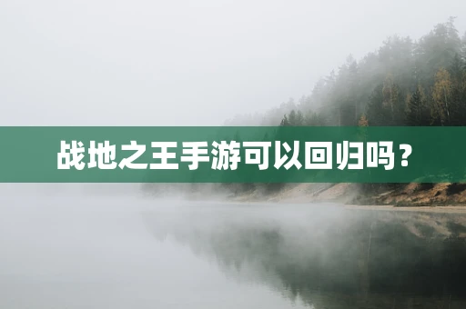 战地之王手游可以回归吗？