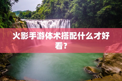 火影手游体术搭配什么才好看？