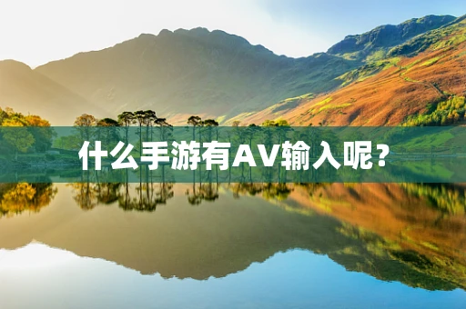 什么手游有AV输入呢？