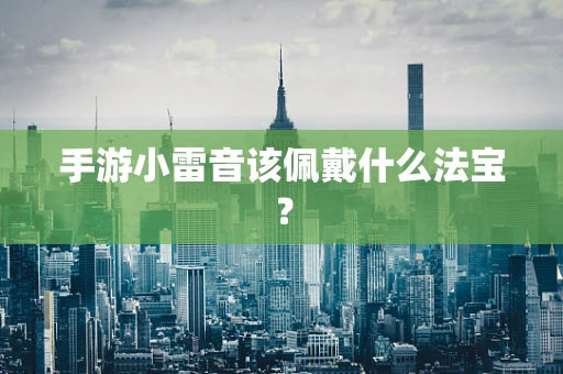 手游小雷音该佩戴什么法宝？