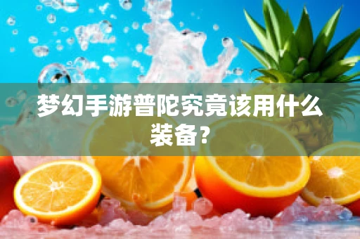 梦幻手游普陀究竟该用什么装备？
