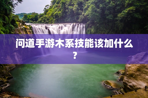 问道手游木系技能该加什么？