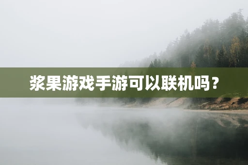 浆果游戏手游可以联机吗？