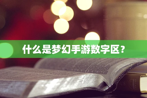 什么是梦幻手游数字区？