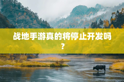 战地手游真的将停止开发吗？