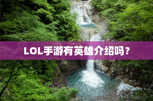 LOL手游有英雄介绍吗？