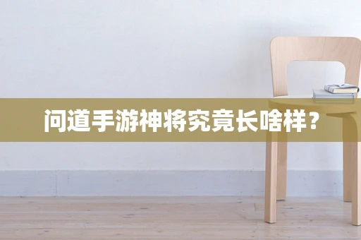 问道手游神将究竟长啥样？