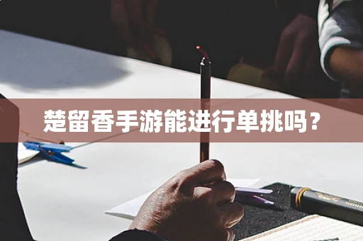 楚留香手游能进行单挑吗？