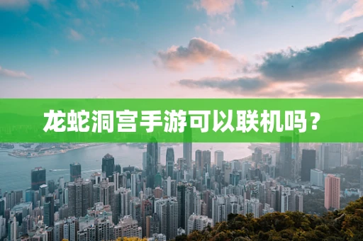 龙蛇洞宫手游可以联机吗？