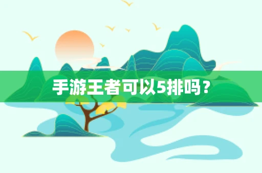 手游王者可以5排吗？
