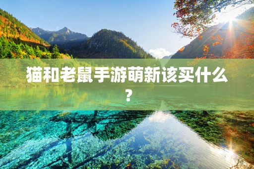 猫和老鼠手游萌新该买什么？