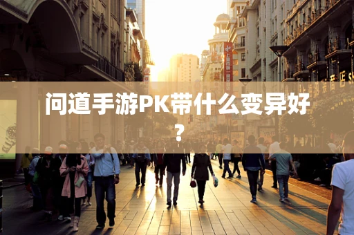 问道手游PK带什么变异好？