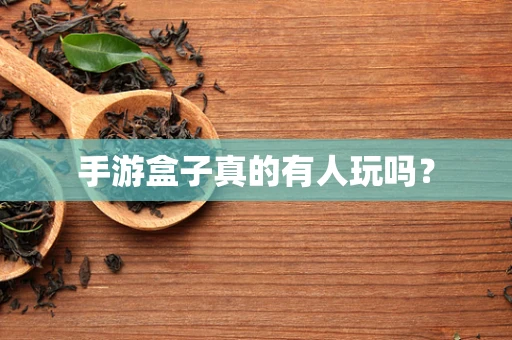 手游盒子真的有人玩吗？