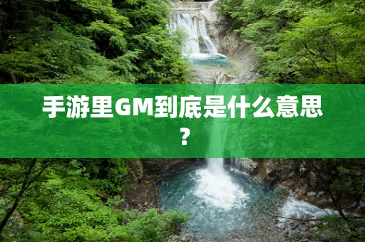 手游里GM到底是什么意思？
