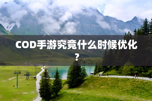 COD手游究竟什么时候优化？