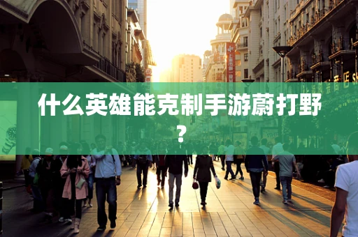 什么英雄能克制手游蔚打野？