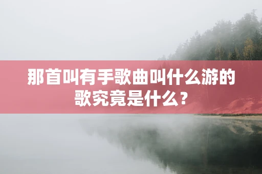 那首叫有手歌曲叫什么游的歌究竟是什么？