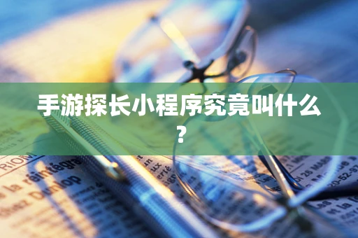手游探长小程序究竟叫什么？