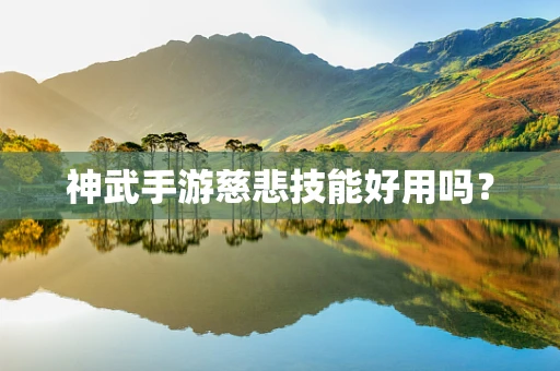 神武手游慈悲技能好用吗？