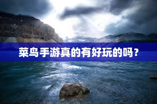 菜鸟手游真的有好玩的吗？