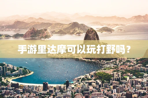 手游里达摩可以玩打野吗？