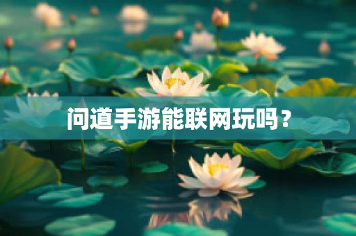 问道手游能联网玩吗？