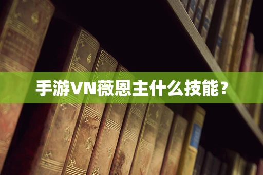 手游VN薇恩主什么技能？