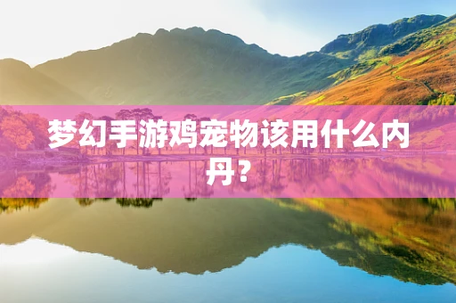 梦幻手游鸡宠物该用什么内丹？
