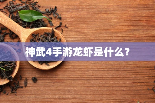 神武4手游龙虾是什么？