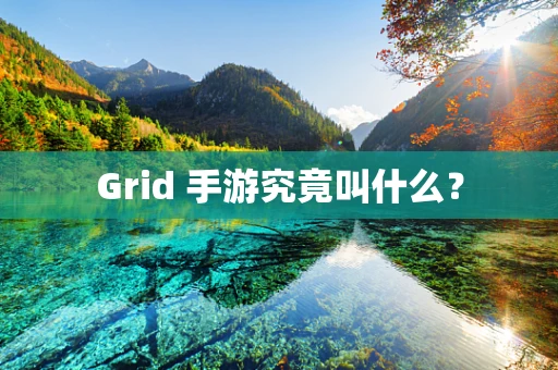 Grid 手游究竟叫什么？