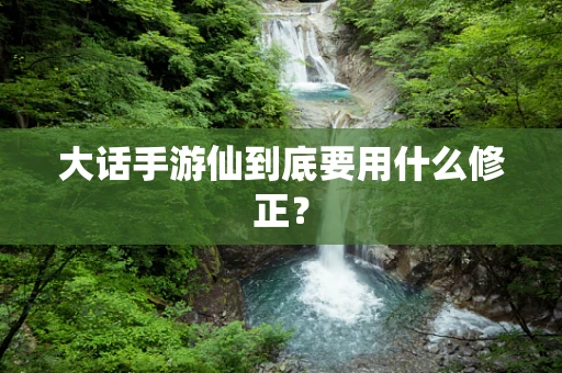 大话手游仙到底要用什么修正？