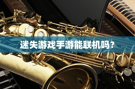 迷失游戏手游能联机吗？