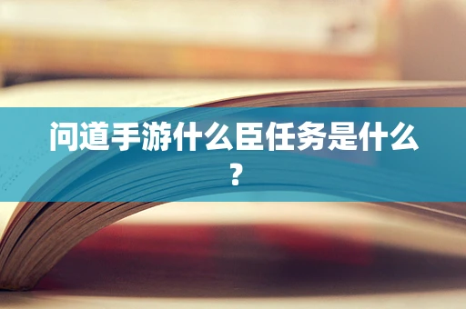 问道手游什么臣任务是什么？