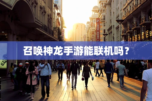 召唤神龙手游能联机吗？