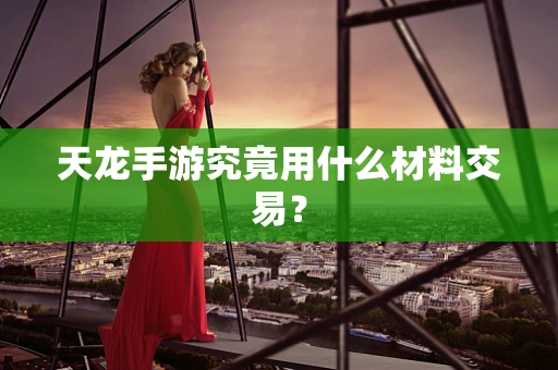 天龙手游究竟用什么材料交易？