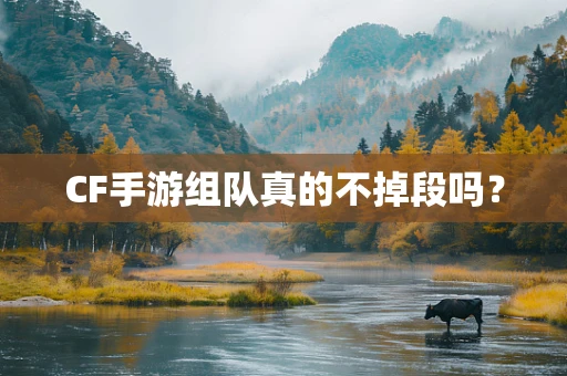 CF手游组队真的不掉段吗？