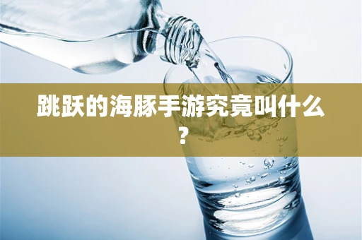 跳跃的海豚手游究竟叫什么？