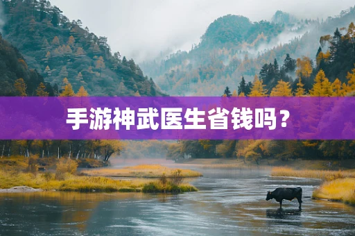 手游神武医生省钱吗？